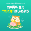 モッピーというポイ活サイトの写真